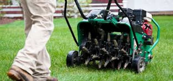 Areating the Lawn